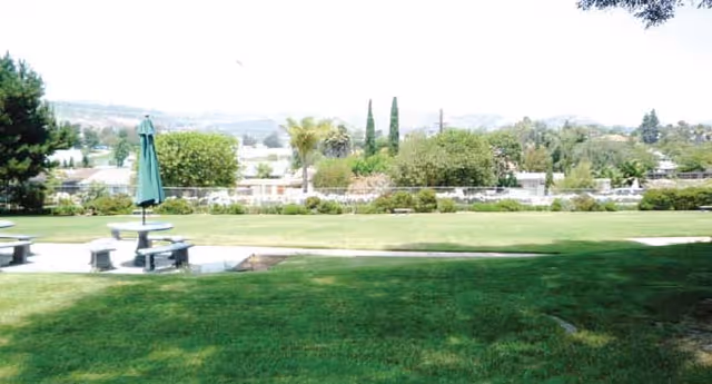 A grassy outdoor area with a concrete picnic table and benches under a closed green umbrella. Trees and shrubs border the area, with a view of distant hills and buildings under a clear sky.