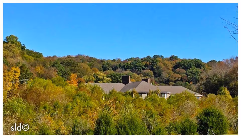 A senior living facility building partially visible behind dense green and autumn-colored trees with a clear blue sky above.