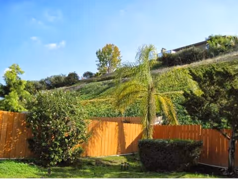 A sunny outdoor garden area with a wooden fence, green grass, various bushes, a palm tree, and a hillside covered in greenery under a clear blue sky.