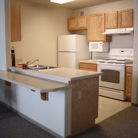A compact kitchen area with light wood cabinets, a white refrigerator, a white stove with oven, a white microwave mounted above the stove, and a double sink set in a beige countertop with an extended breakfast bar.