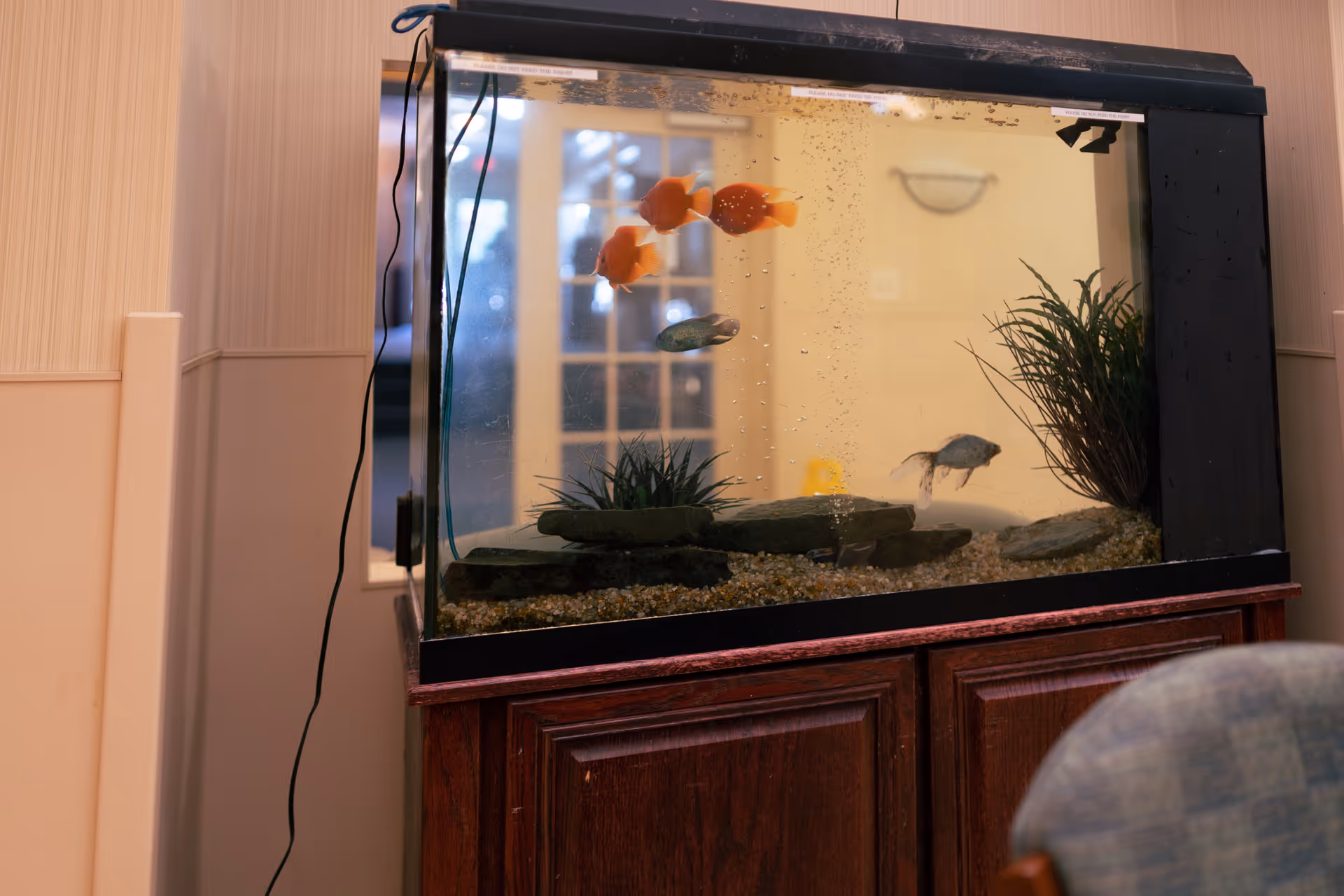 A large fish tank with several fish swimming inside, including orange and silver fish. The tank contains rocks and aquatic plants and is placed on a wooden cabinet. The background shows a beige wall and a partially visible chair in the foreground.