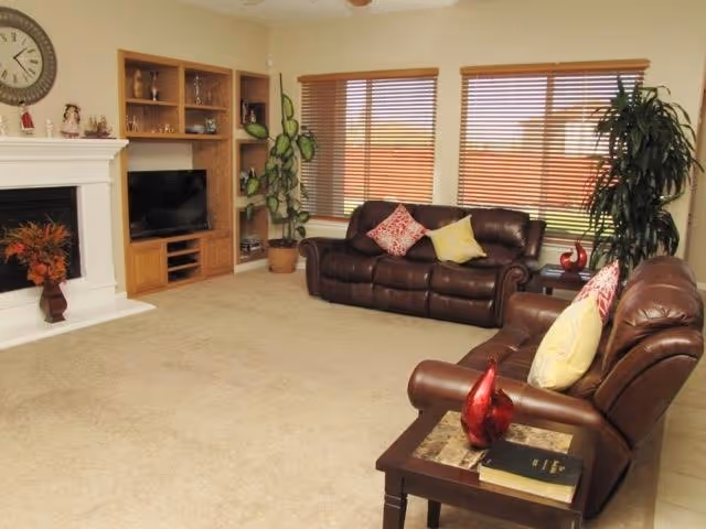 Spacious living room with leather sofas, fireplace, TV in built-in shelving, large windows with blinds, and decorative plants.