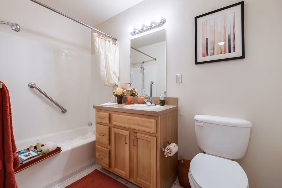 A clean bathroom featuring a white bathtub with a grab bar and a shower curtain, a wooden vanity with a sink and countertop, a large mirror with lights above it, a white toilet, a red bath mat, and a framed abstract artwork on the wall.