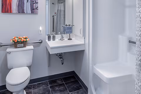 Accessible bathroom with a toilet, wall-mounted sink, grab bars, and a shower-tub with patterned curtain.