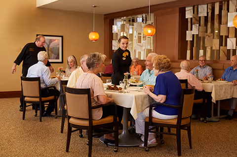 A group of seniors seated at dining tables in a communal dining room while staff serve them.