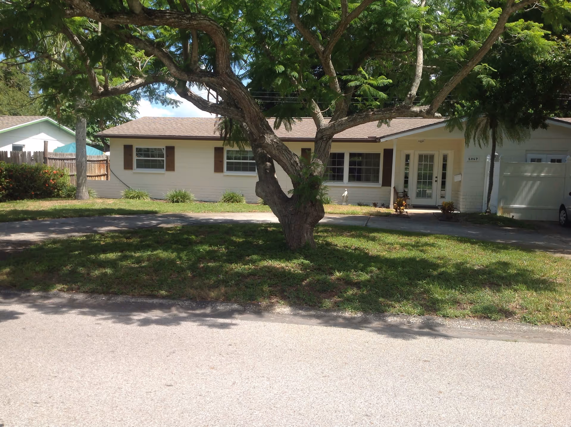 Front exterior view of a single-story residential building with a large tree in the front yard, a driveway, and green grass. The building has white walls, brown shutters on the windows, and a glass front door.