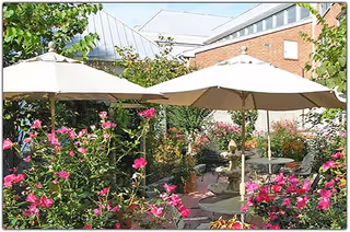 Outdoor garden area with blooming pink flowers, green shrubs, and two large beige patio umbrellas providing shade over tables. The background shows parts of a building with a metal roof and brick walls.