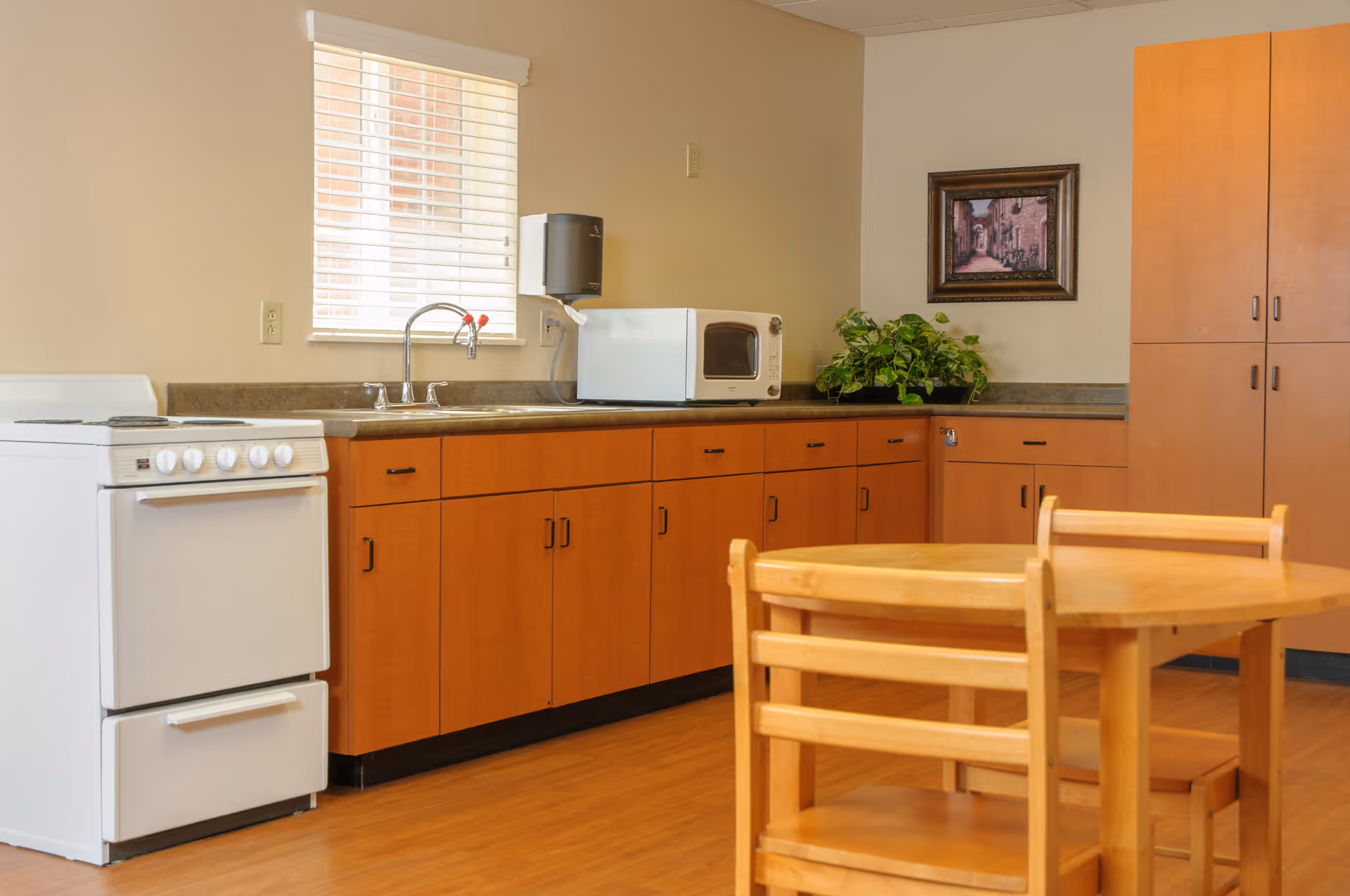 A small kitchen area with wooden cabinets, a white stove, a microwave on the countertop, a sink under a window with blinds, a paper towel dispenser on the wall, a framed picture, a green potted plant, and a round wooden table with matching chairs in the foreground.