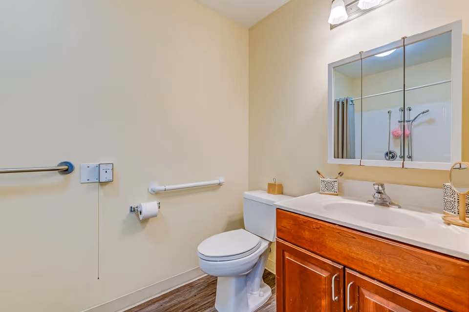A clean bathroom with a white toilet, wooden vanity with a sink, and a large mirror above the sink. The walls are light-colored, and there are safety grab bars near the toilet. The floor has a wood-like finish, and a shower with a curtain is partially visible in the mirror reflection.