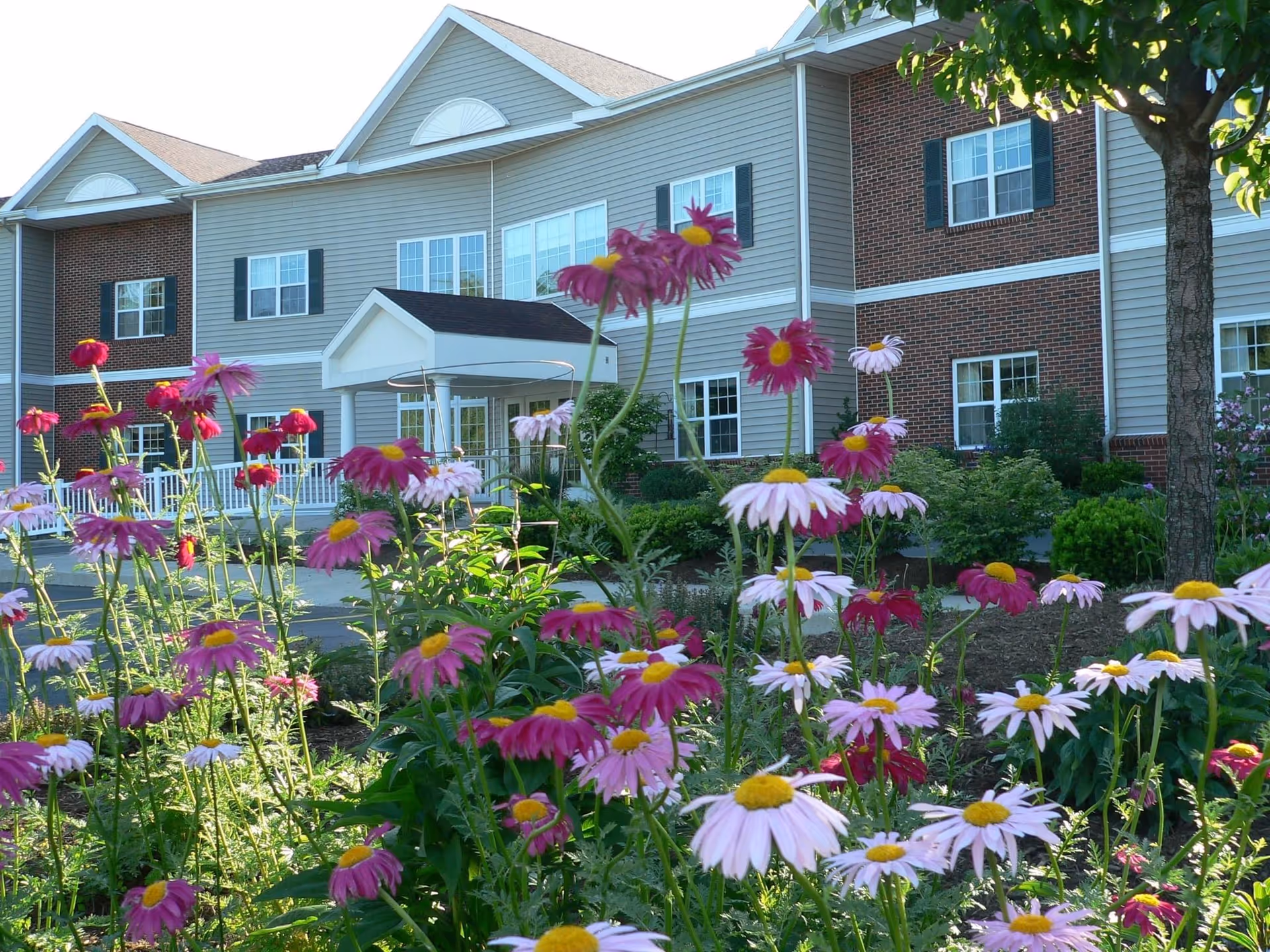 Front exterior of a two-story senior living building with pink and white daisies in the foreground.