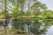 A serene outdoor scene featuring a calm pond surrounded by lush green trees and grass, with a small waterfall on the left side and a clear reflection of the trees in the water.