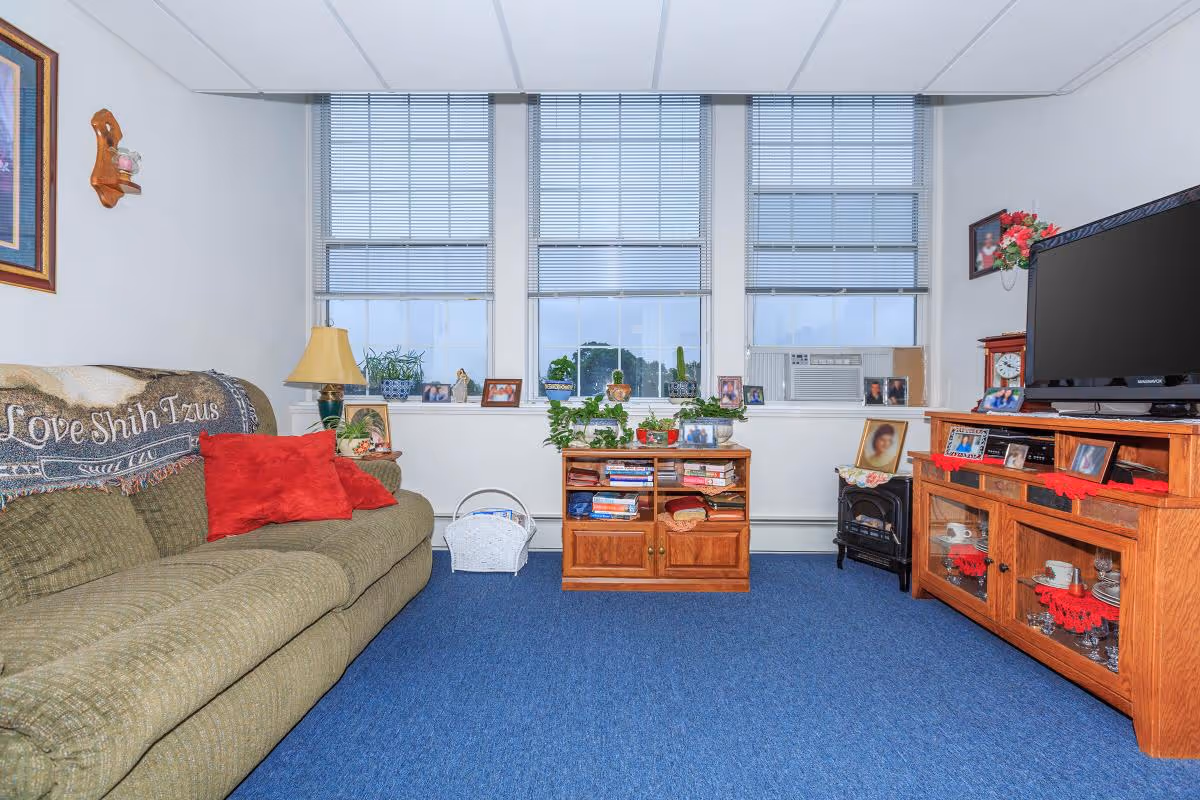 Cozy living room with a green sofa, red pillows, a TV on a wooden cabinet, small bookshelves and three windows with blinds.