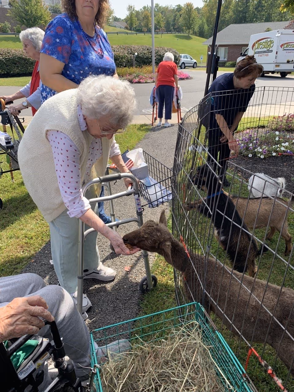 Several elderly women outdoors at a senior living facility, with one woman using a walker feeding a small brown goat through a metal fence. Other goats are visible inside the fenced area, and a woman is tending to the animals. The scene is set on a sunny day with green grass and trees in the background.