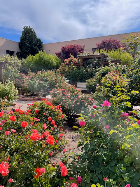 A vibrant garden area with various blooming flowers including red and pink roses, surrounded by green shrubs and trees. In the background, there is a beige building with windows and a partly cloudy sky above.