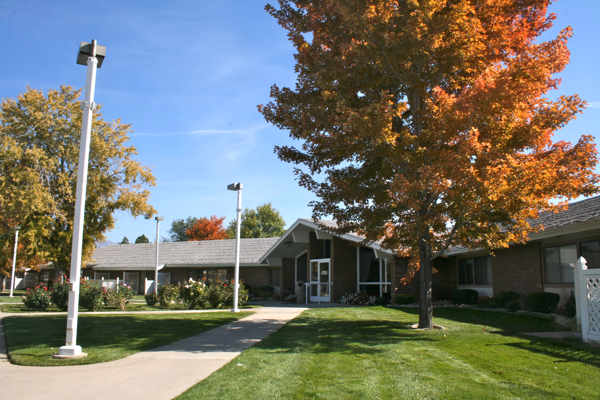 Single-story senior living facility front with a walkway, green lawn, lampposts, and a large tree with orange autumn leaves.