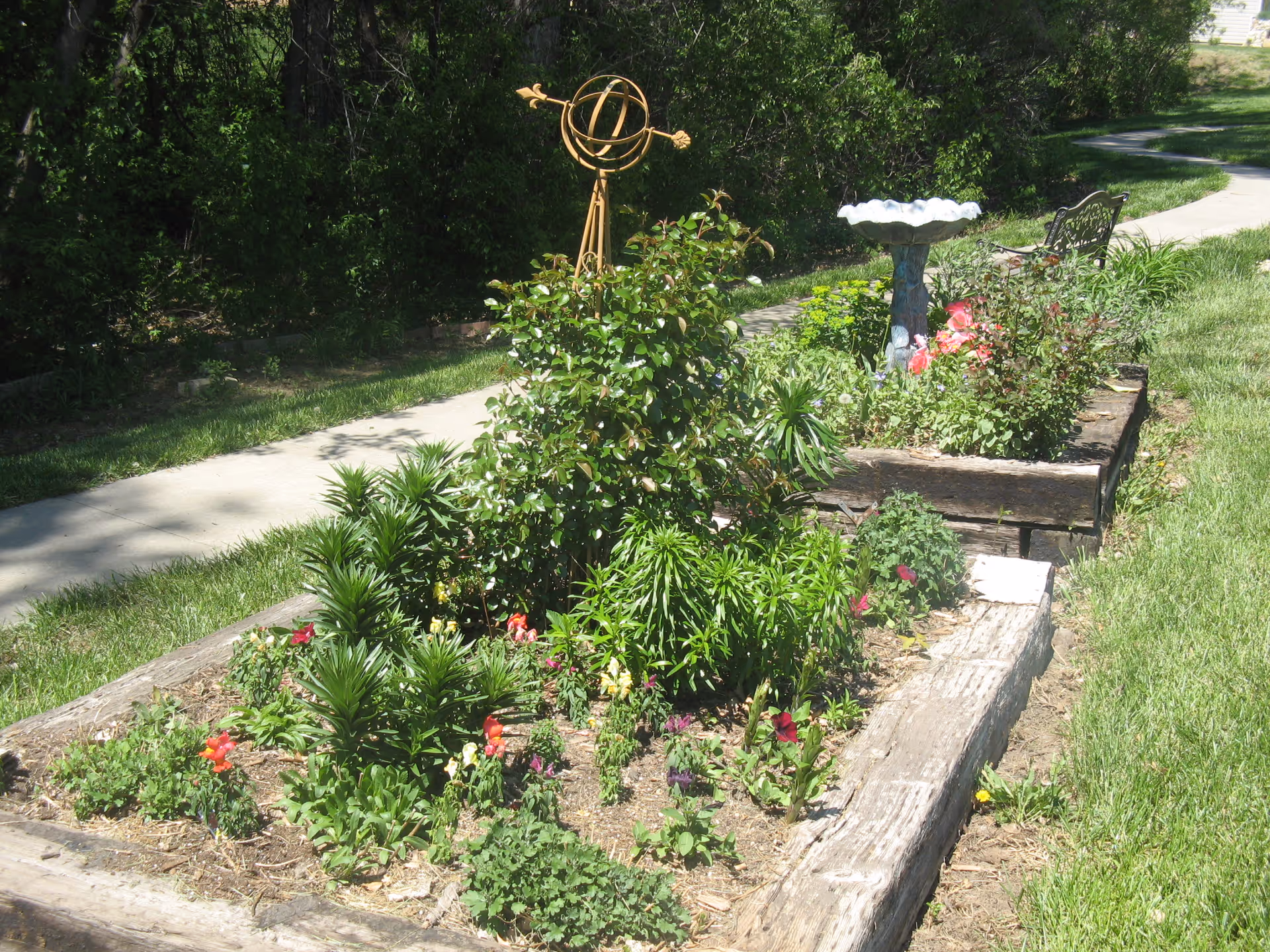 Raised wooden garden beds with flowering plants, a birdbath, and a nearby sidewalk and bench in a sunny outdoor area.