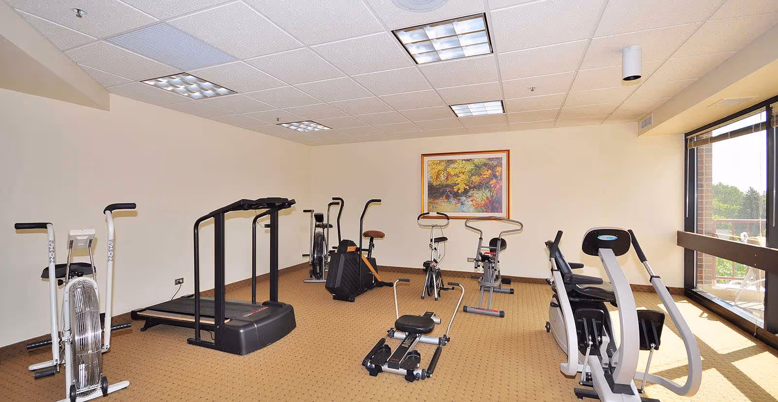 A senior living facility exercise room with various fitness equipment including stationary bikes, a treadmill, and a rowing machine. The room has beige walls, a carpeted floor, fluorescent ceiling lights, a large window letting in natural light, and a framed landscape painting on the wall.