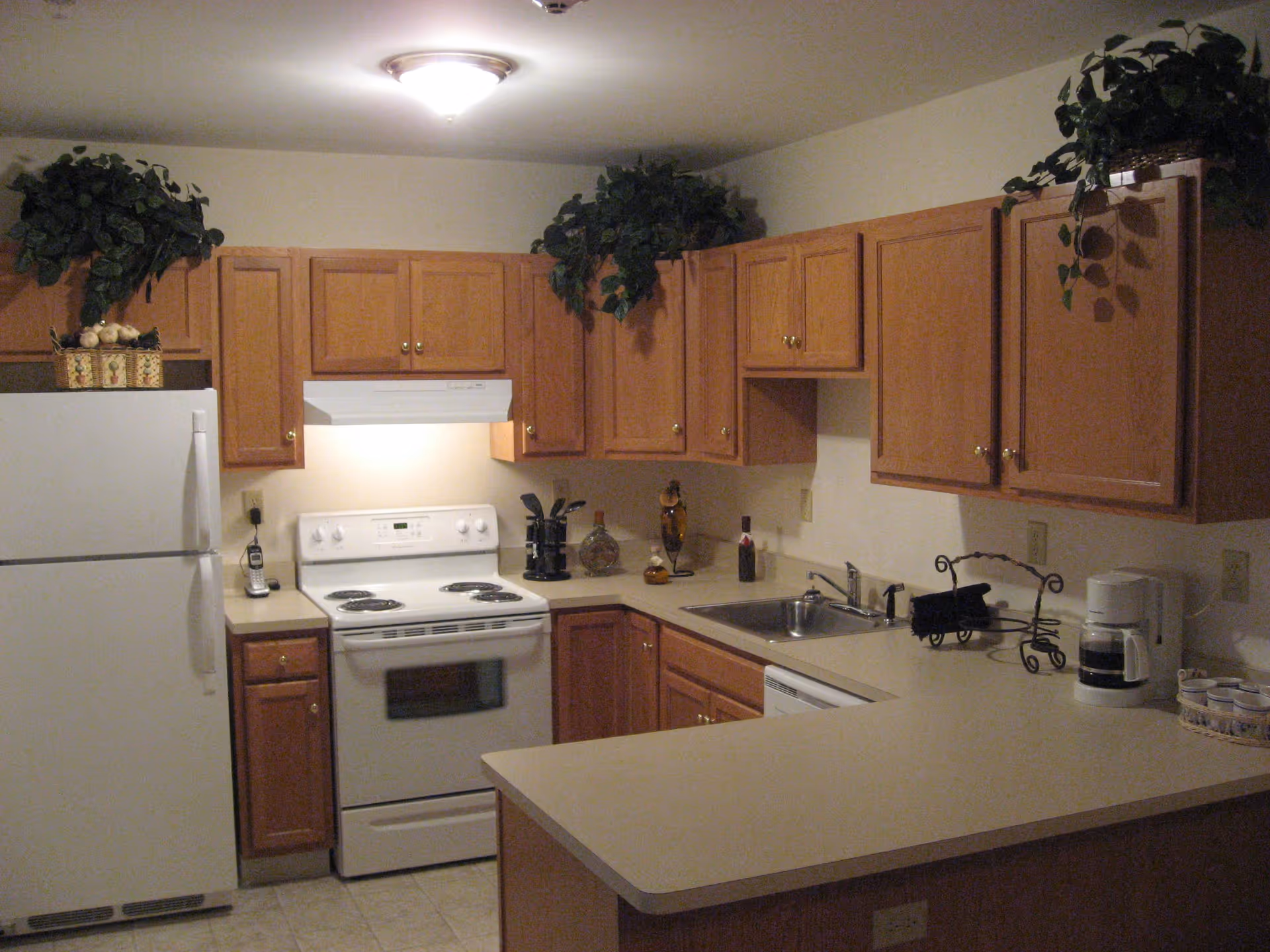 A kitchen with wooden cabinets, a white refrigerator, an electric stove with an overhead vent, a double sink, and a countertop with a coffee maker and decorative plants on top of the cabinets.