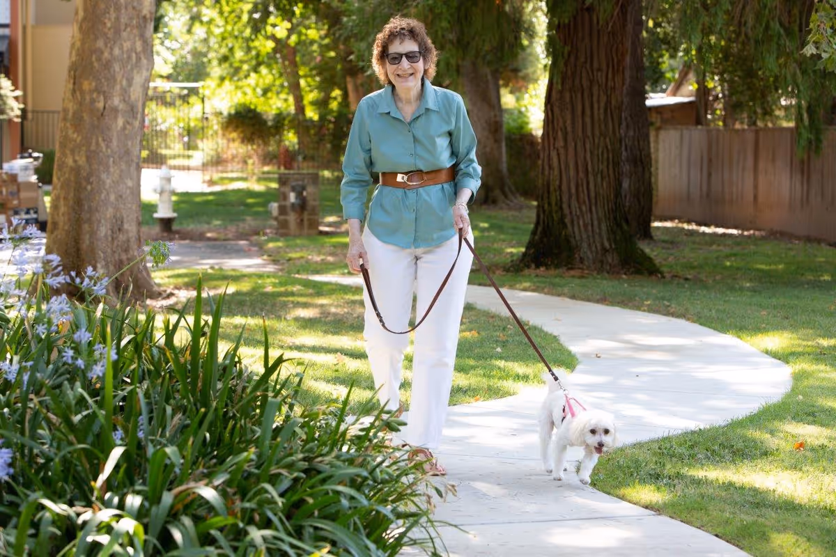 An elderly woman wearing sunglasses, a green shirt, white pants, and a brown belt is walking a small white dog on a leash along a curved concrete pathway in a green outdoor garden area with trees and plants.