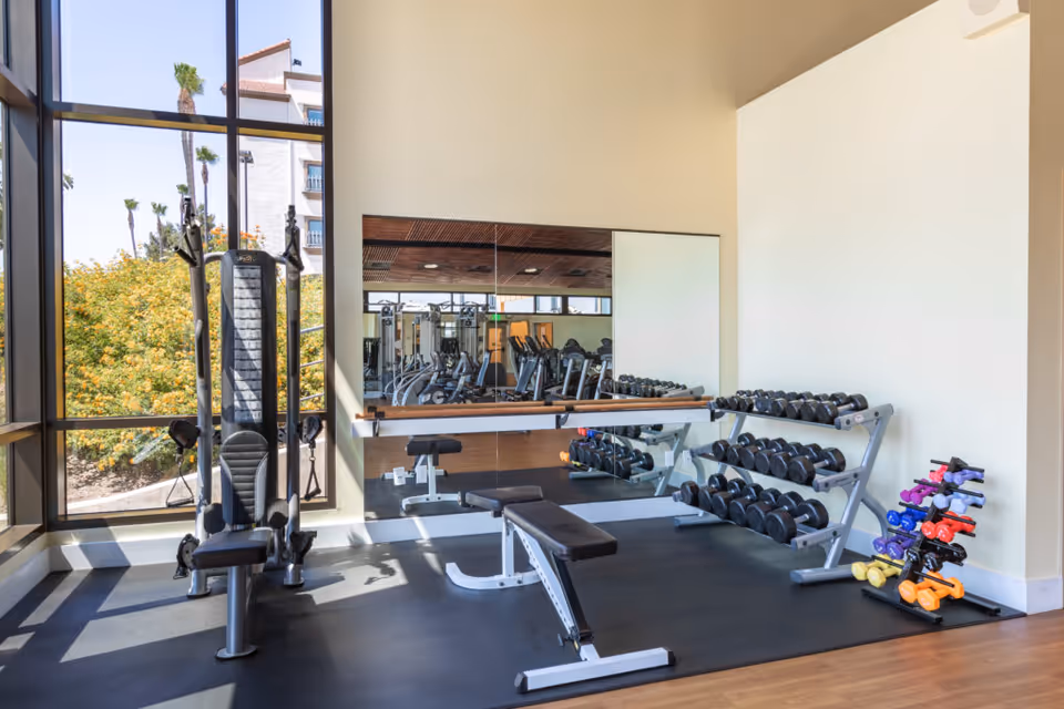 A bright fitness room with large windows showing outdoor greenery. The room contains a weight bench, a rack of various dumbbells, a multi-functional exercise machine, and a large mirror on the wall reflecting more gym equipment.