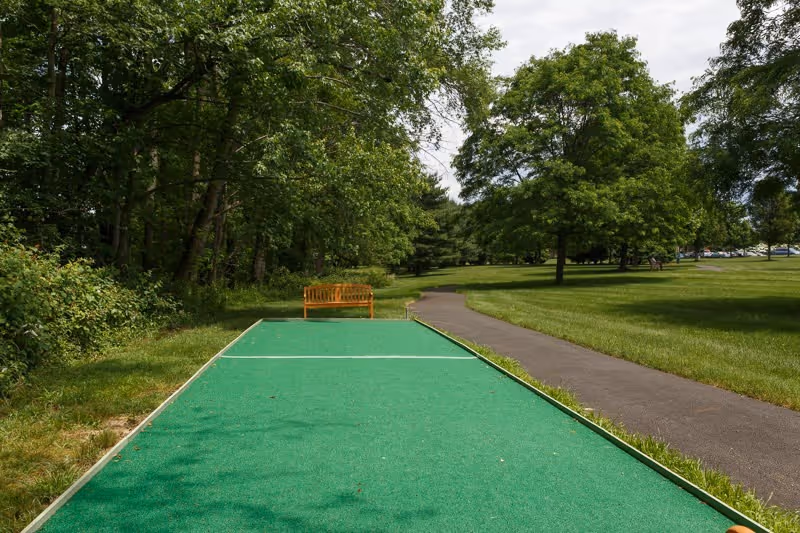 A green outdoor bocce or shuffleboard court with a wooden bench at the far end, surrounded by trees and a paved walking path.