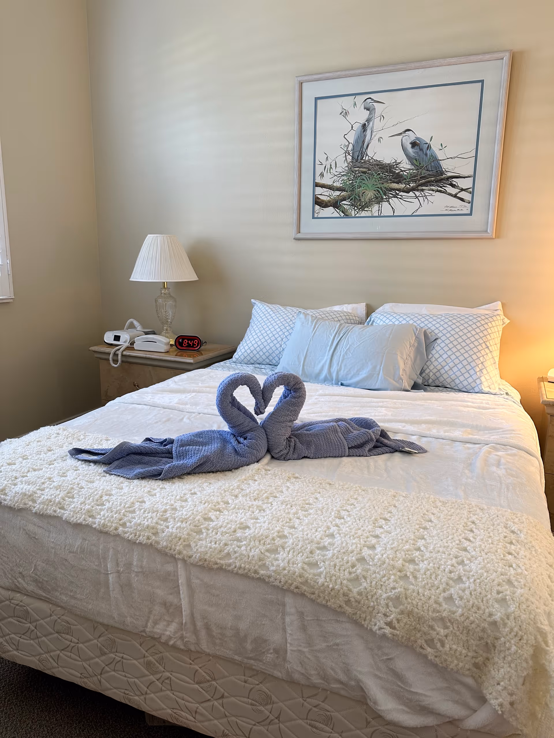 Bright bedroom with a made bed topped by two towel swans, bedside tables with lamps and a framed bird print on the wall.