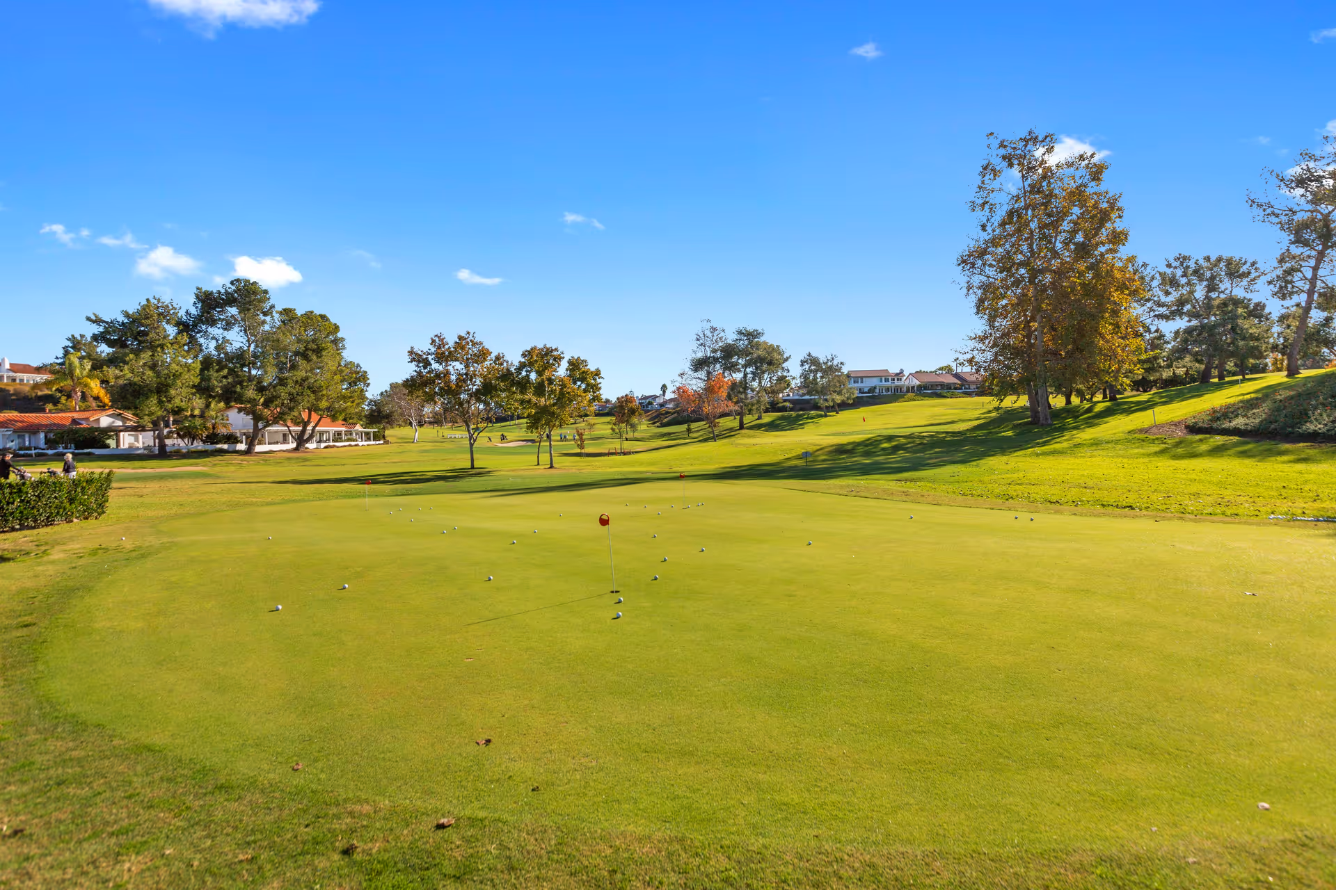 A sunlit golf putting green with a flag and scattered balls, surrounded by trees, lawns, and houses under a clear blue sky.