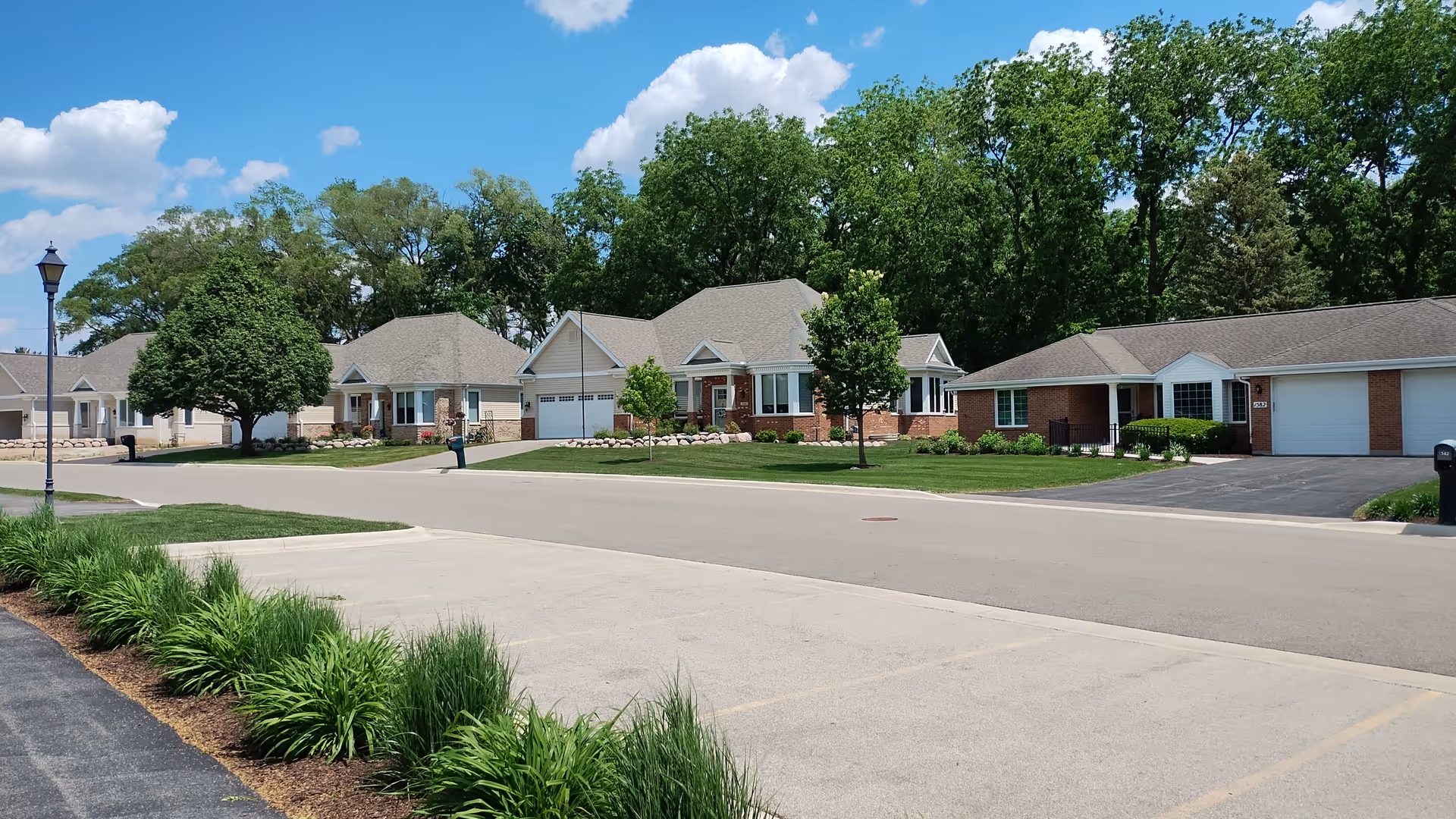 Street view of a residential area in Peterson Meadows with single-story houses, green lawns, trees, and a clear blue sky with some clouds.