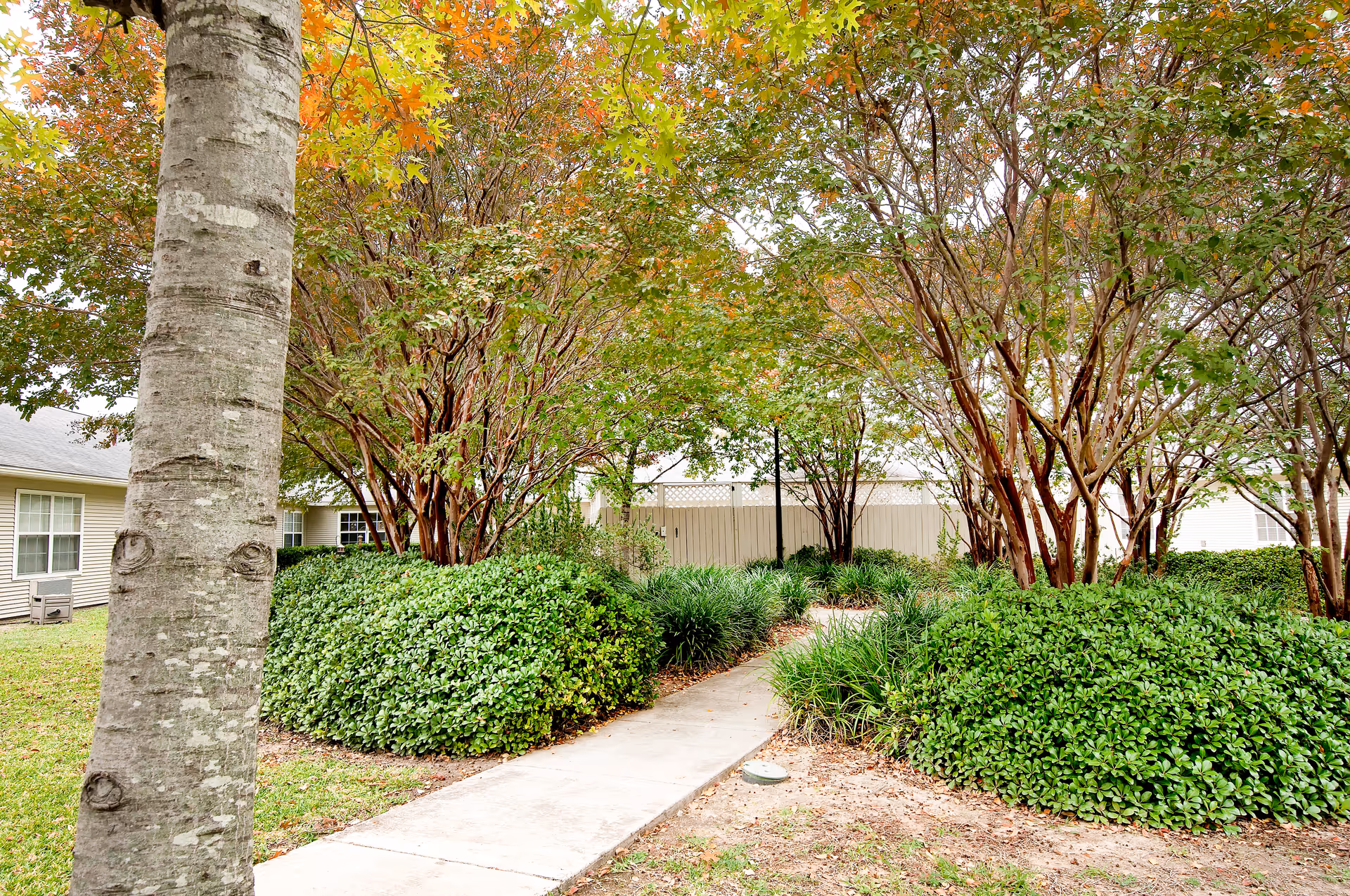 A concrete pathway surrounded by green bushes and trees with autumn-colored leaves, leading to a white wooden fence. Residential buildings with beige siding and white-framed windows are visible on either side of the pathway.