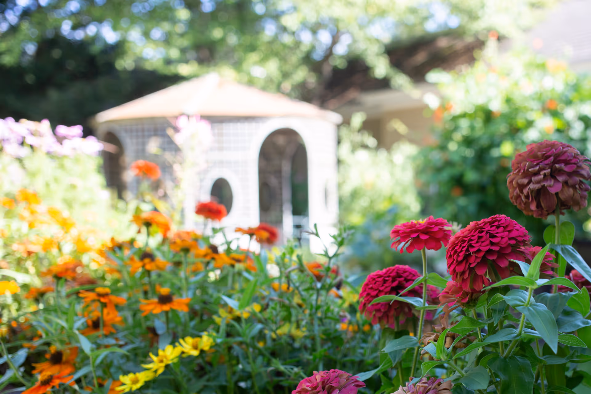 Colorful garden flowers in the foreground with a white gazebo blurred in the background.