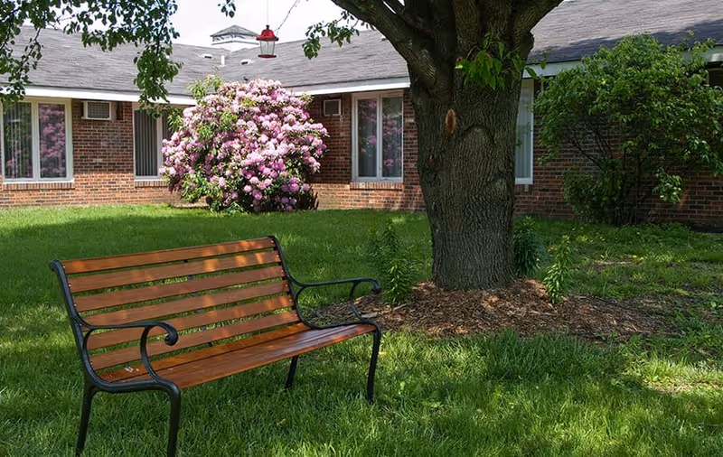 A wooden park bench on grass beneath a large tree in a courtyard with a brick building and a blooming pink rhododendron in the background.