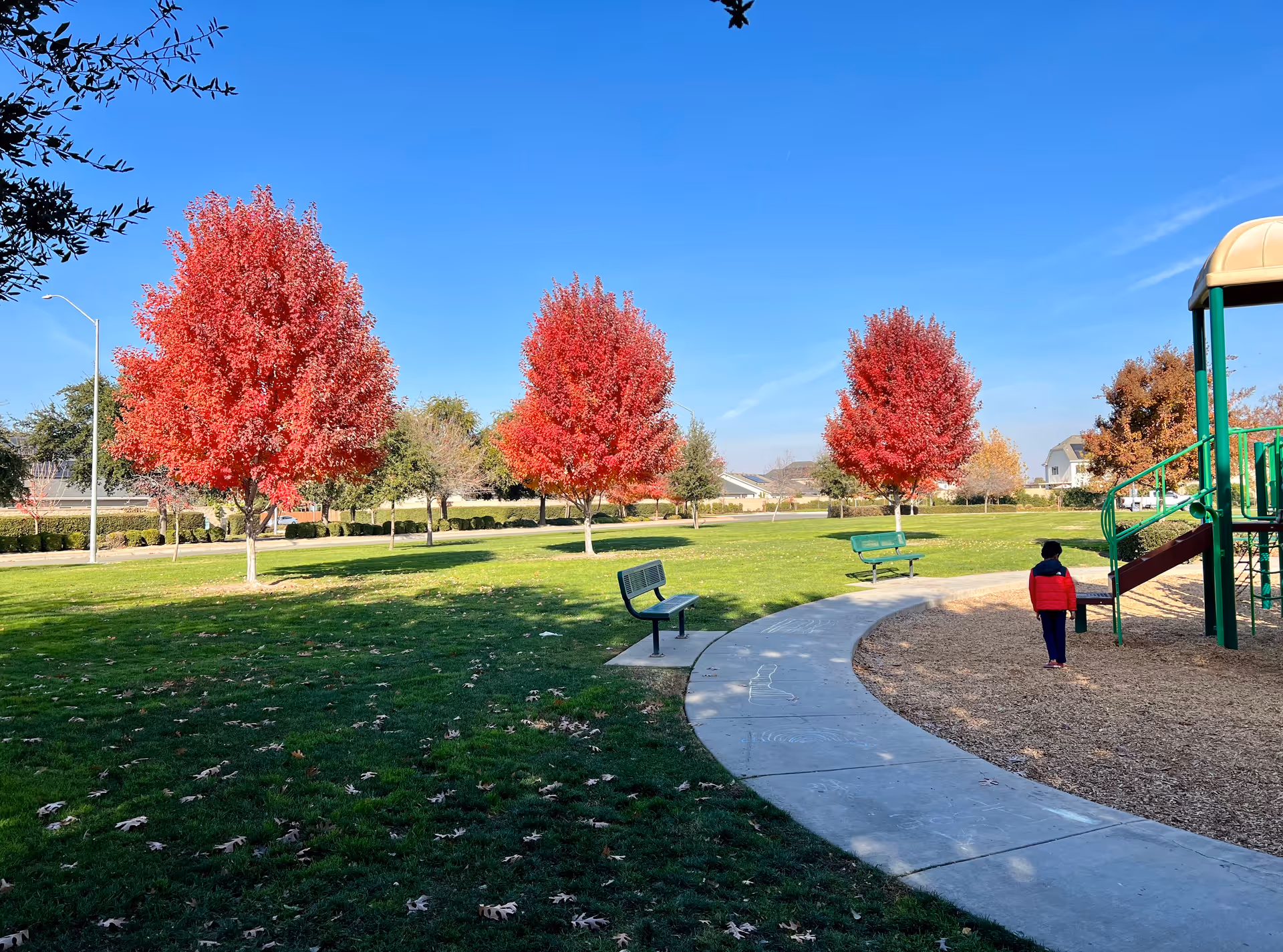 A park scene with green grass, three vibrant red-leaved trees, two green benches, a curved concrete pathway, and a child wearing a red jacket and dark pants walking near a playground structure under a clear blue sky.