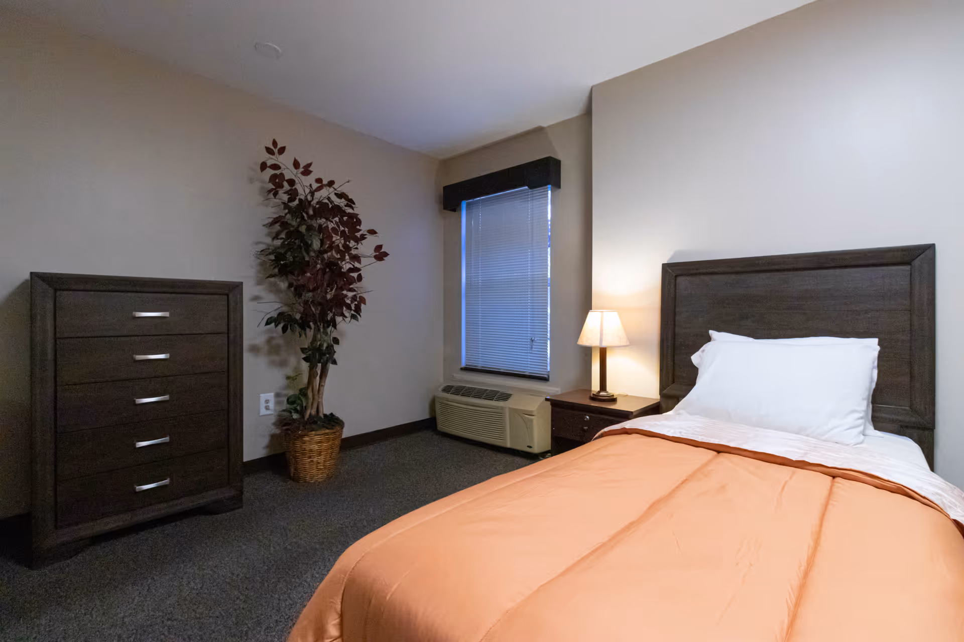 A simple bedroom with a single bed covered with an orange blanket and white pillow. Next to the bed is a wooden nightstand with a lit lamp. There is a window with closed blinds and a dark valance above an air conditioning unit. On the left side of the room, there is a dark wooden chest of drawers and a tall potted plant with red and green leaves. The walls are light beige and the floor is carpeted in dark gray.