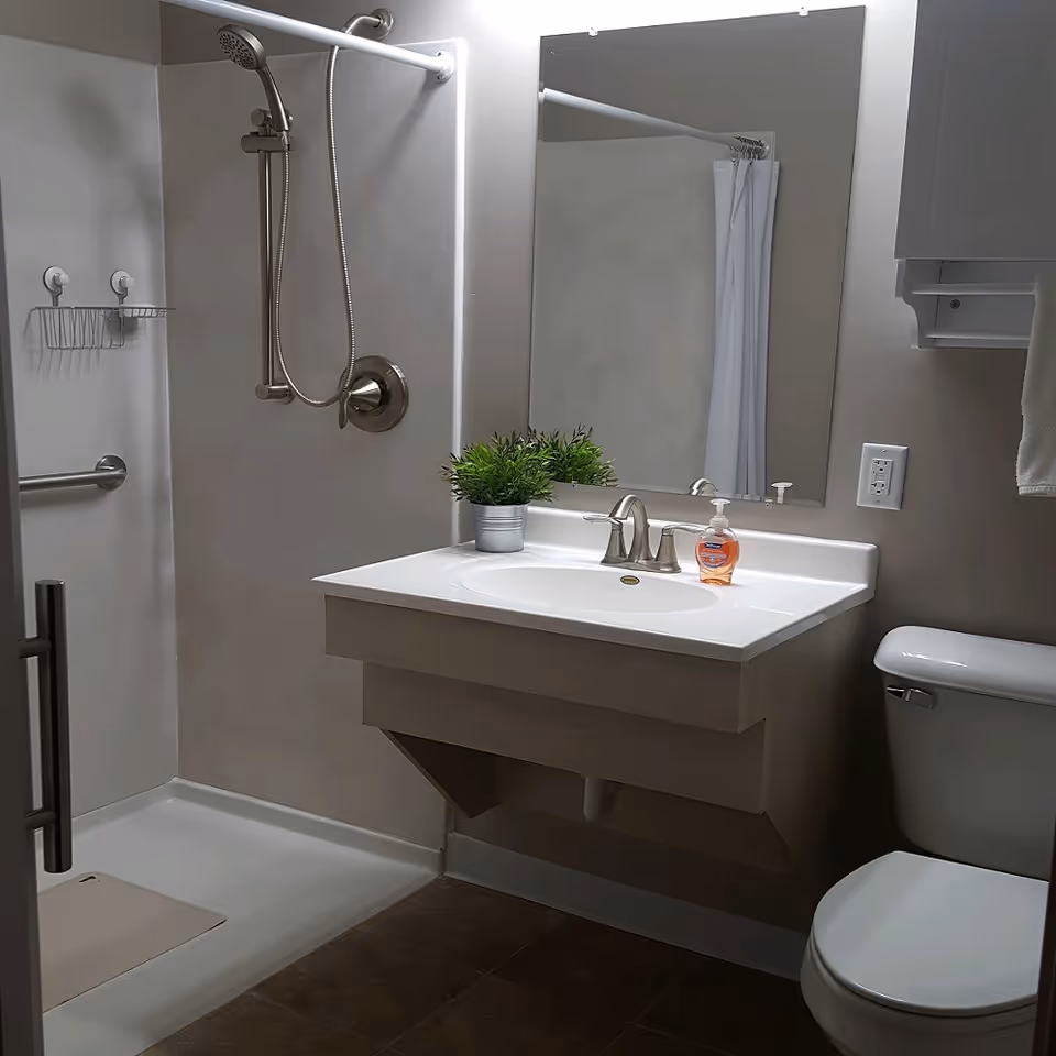 Accessible bathroom with a walk-in shower, wall-mounted sink and mirror, toilet, soap dispenser, and a small potted plant.