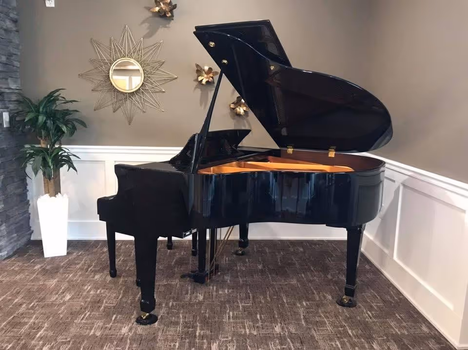 A black grand piano with its lid open is placed in a corner of a room with beige walls and white wainscoting. A decorative sunburst mirror and three gold flower wall decorations hang on the wall above the piano. A tall green plant in a white pot stands to the left of the piano on a carpeted floor.