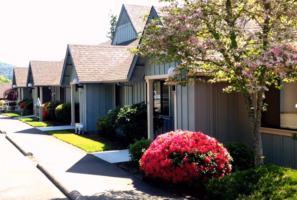 Single-story gray cottages with peaked roofs and landscaped front yards featuring a flowering tree and bright pink azaleas.