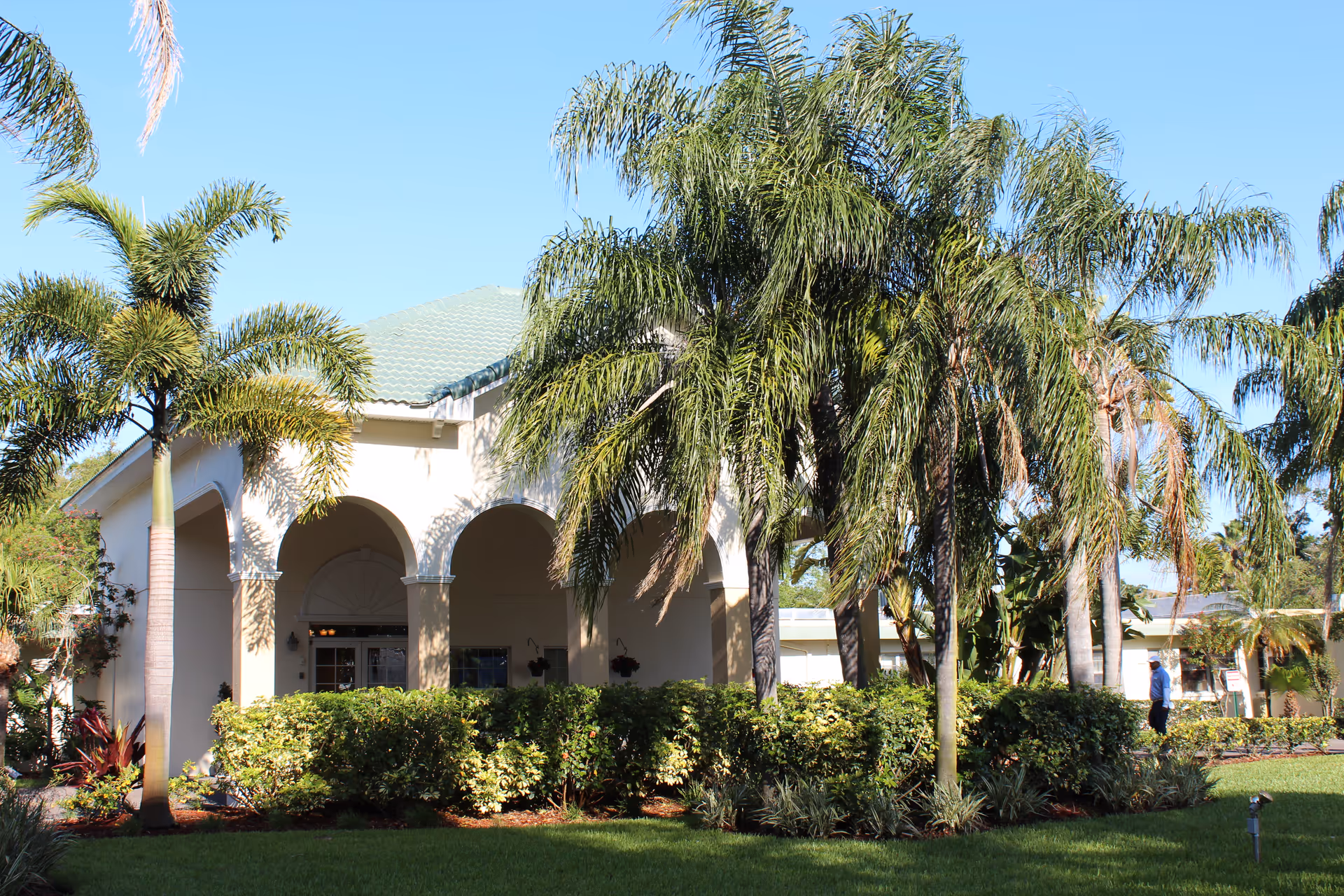Exterior view of a building with a green roof and arched entrance, surrounded by palm trees and lush green bushes under a clear blue sky.