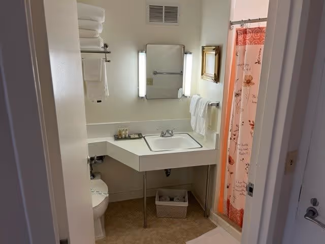 View into a small bathroom with a white sink and countertop, a mirror with vertical lights on each side, a towel rack with folded white towels, a toilet, and a shower with a pink and orange floral patterned curtain. There is a basket with toiletries under the sink.