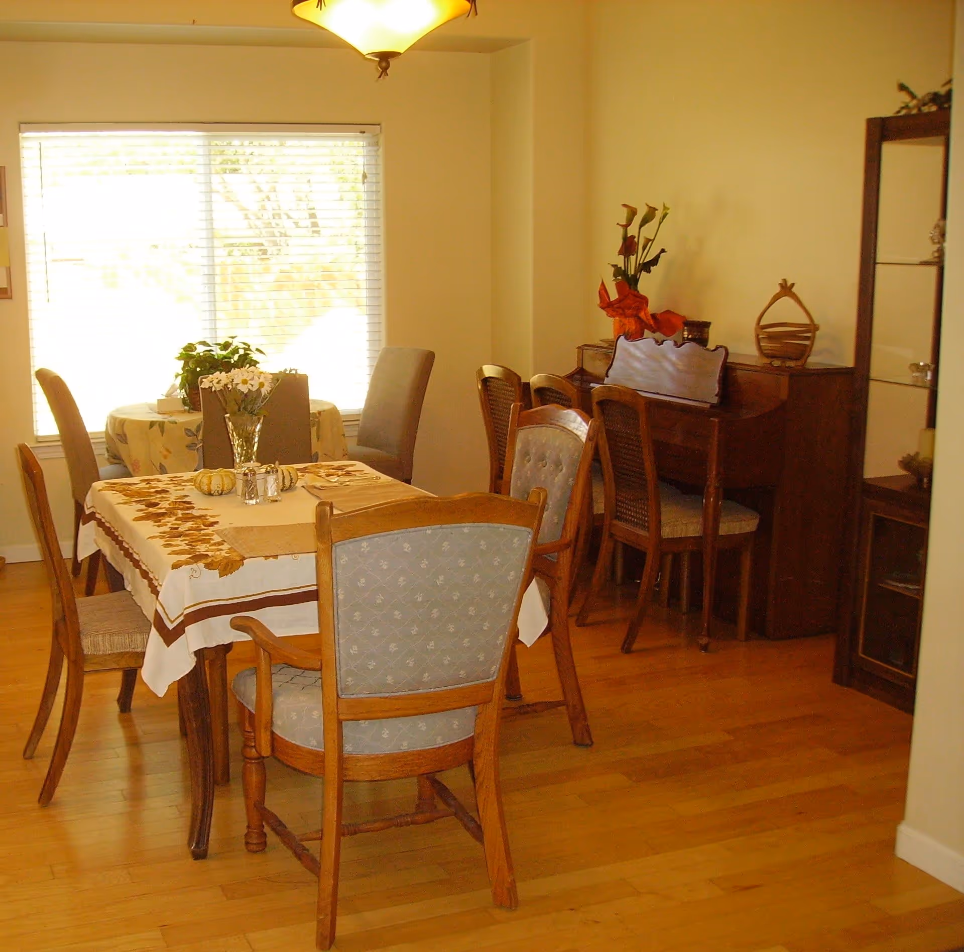 A dining room with a wooden floor, a rectangular dining table covered with a floral tablecloth, surrounded by six chairs. There is a vase with flowers and small decorative pumpkins on the table. In the background, there is a window with blinds, a piano with chairs, and a shelving unit with decorative items.