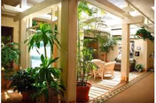 Indoor seating area with natural light, featuring several potted plants, wicker chairs, and a small table. The space has a warm and inviting atmosphere with beige walls and a tiled floor border.