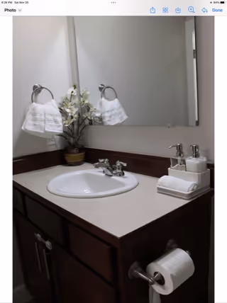 A bathroom sink with a white countertop and dark wooden cabinets below. Above the sink is a large mirror. To the left of the sink, a towel ring holds a white hand towel, and a small potted plant with white flowers is placed on the countertop. To the right of the sink, there is a tray holding a rolled white towel and two soap dispensers. A toilet paper holder with a roll of toilet paper is mounted on the side of the cabinet.