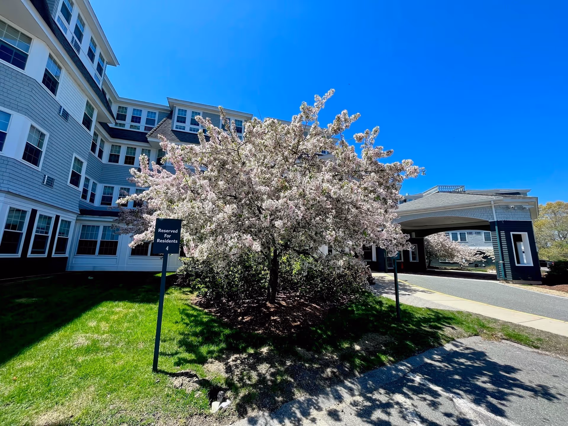 Exterior view of Legacy at Harriett & Ralph Kaplan Estates building with a blooming tree in front, a reserved parking sign for residents, and a covered entrance under a clear blue sky.