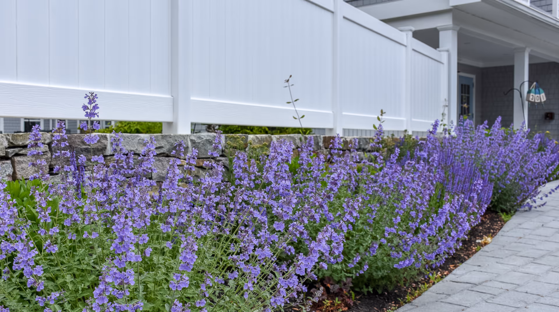Purple flowering plants line a stone border beneath a white fence beside a paved walkway in front of a building.