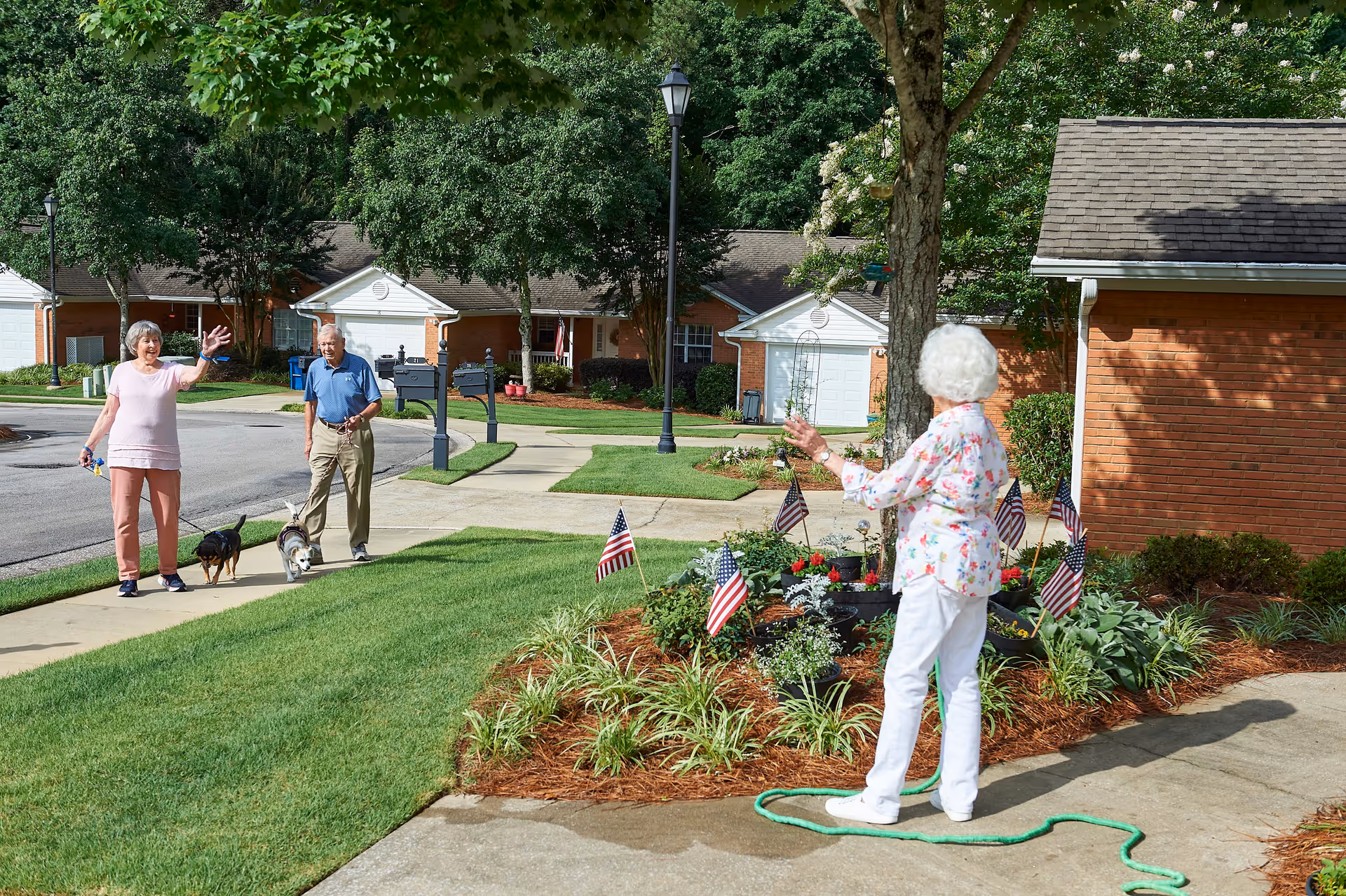 An elderly woman watering plants in a garden bed decorated with small American flags while waving to an elderly couple walking their dogs on a sidewalk in a residential neighborhood with brick houses and green trees.