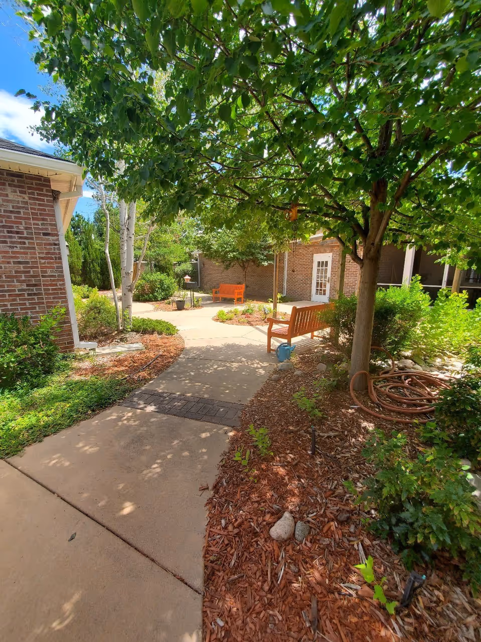 A sunny outdoor garden area with a concrete pathway surrounded by mulch and green plants. There are two wooden benches, one near a tree and another further along the path. The area is shaded by leafy trees and bordered by brick buildings with white doors and windows.