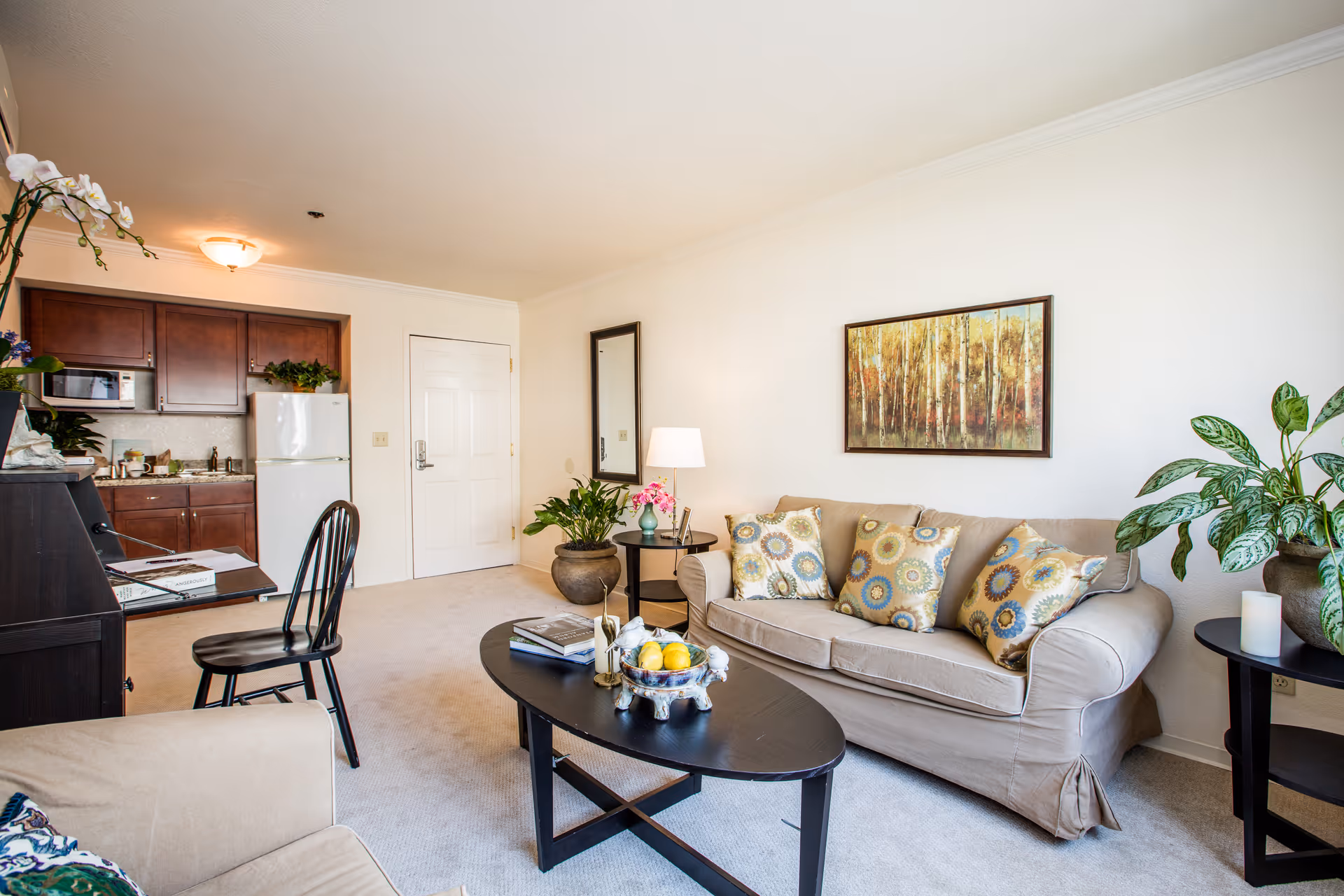 Bright living room with a beige sofa, patterned pillows, coffee table, kitchenette and plants.