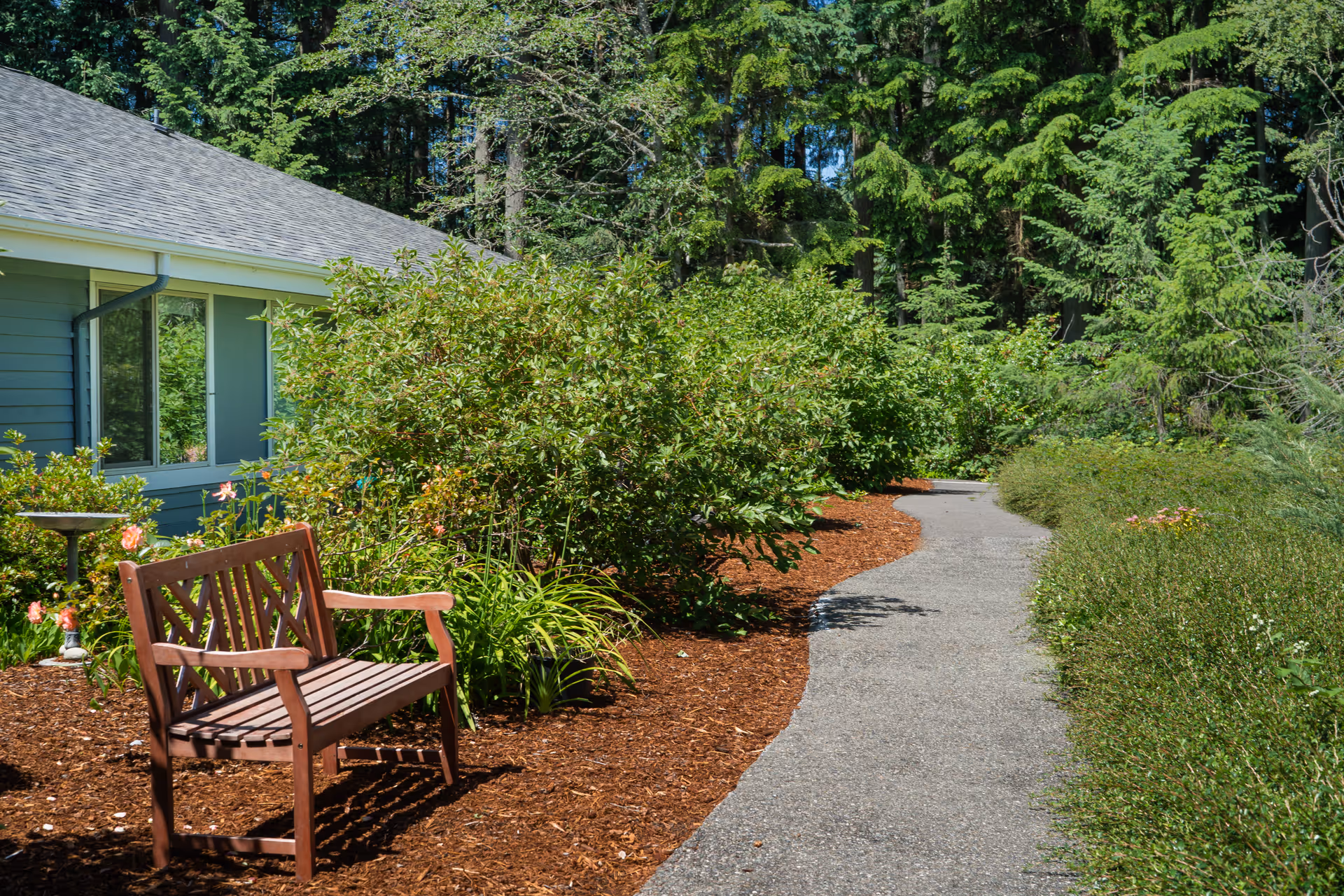 A peaceful outdoor garden area with a wooden bench on the left side, surrounded by green bushes and plants. A paved pathway curves through the garden, leading into a wooded area with tall trees in the background. Part of a building with blue siding and windows is visible on the left.
