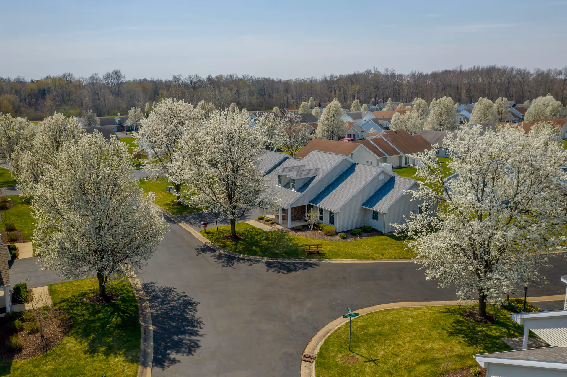 Aerial view of single-story community homes surrounded by blooming white-flowered trees and curving roads.