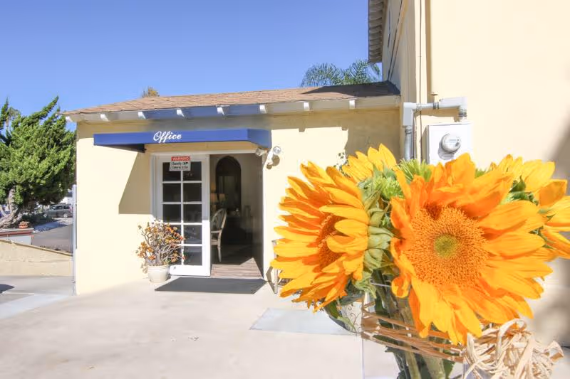 Entrance to the office of BayView Senior Assisted Living with a blue awning labeled 'Office'. A glass door is open, revealing a chair inside. Bright yellow sunflowers are prominently displayed in the foreground on the right side. The building exterior is light yellow with a small potted plant near the door and a clear blue sky above.