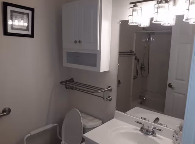 A clean bathroom with a white sink and countertop, a large mirror above the sink, a toilet with the lid open, a wall-mounted cabinet above the toilet, a towel rack, and a shower with grab bars and a handheld showerhead. The bathroom has neutral-colored walls and a framed picture on the wall.